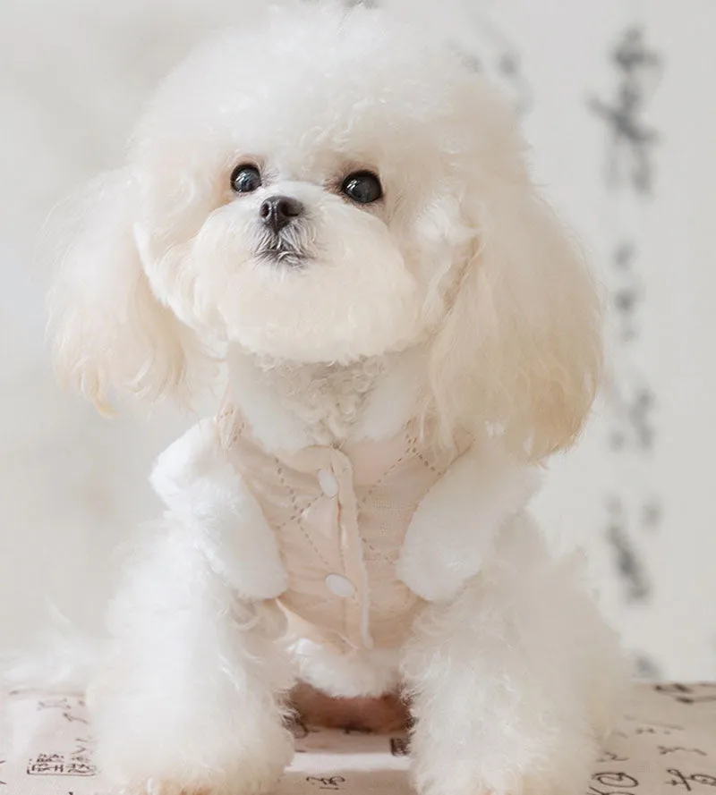 Autumn and winter dog New Year Chinese Tang suit button vest cotton coat medium and large dog Teddy pet clothes