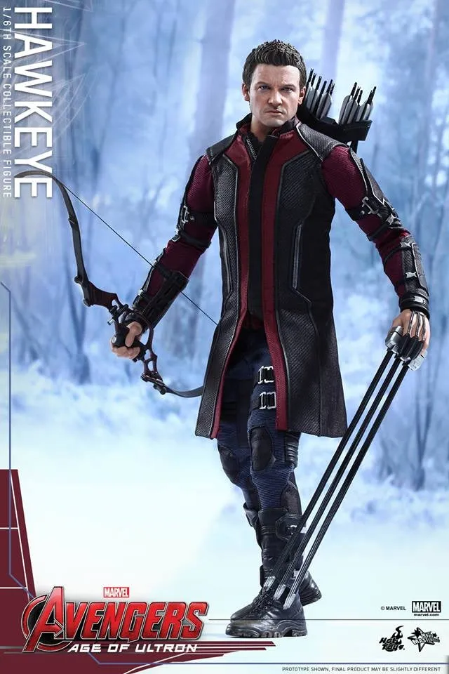 Hot Toys - Avengers: Age of Ultron: Hawkeye