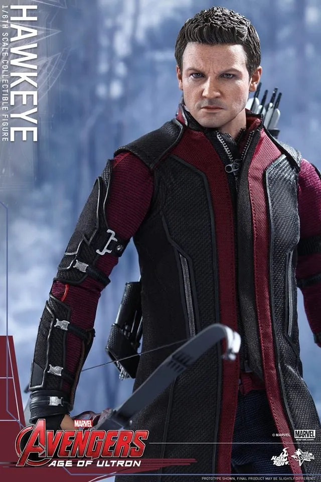 Hot Toys - Avengers: Age of Ultron: Hawkeye