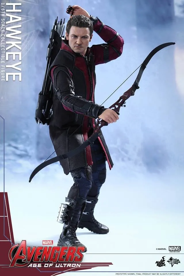 Hot Toys - Avengers: Age of Ultron: Hawkeye