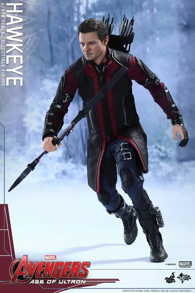 Hot Toys - Avengers: Age of Ultron: Hawkeye