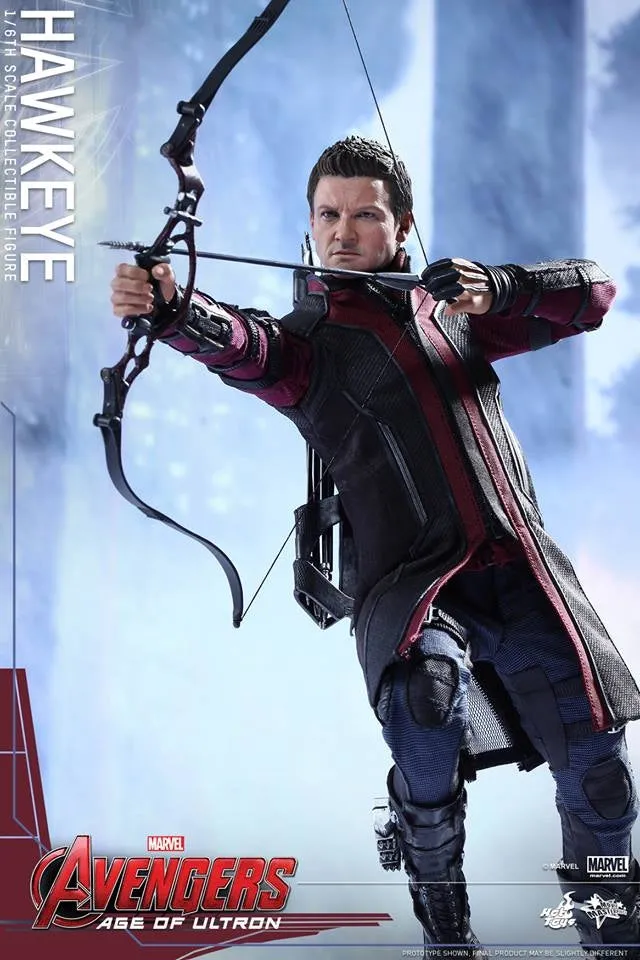 Hot Toys - Avengers: Age of Ultron: Hawkeye