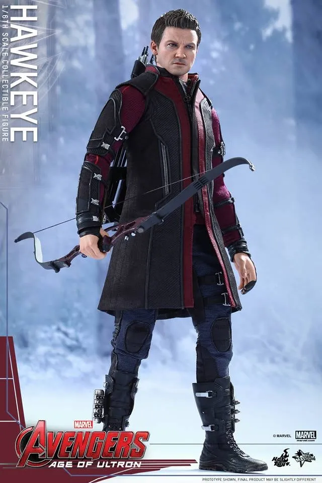 Hot Toys - Avengers: Age of Ultron: Hawkeye