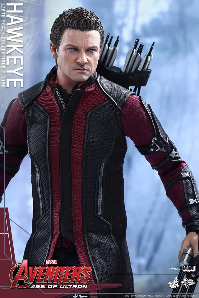 Hot Toys - Avengers: Age of Ultron: Hawkeye