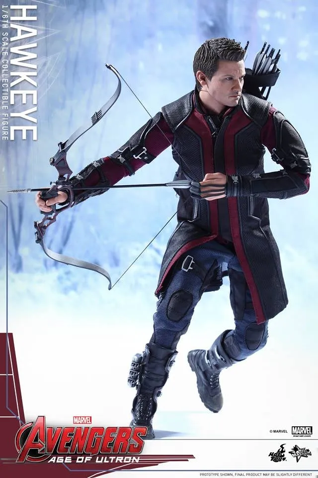 Hot Toys - Avengers: Age of Ultron: Hawkeye