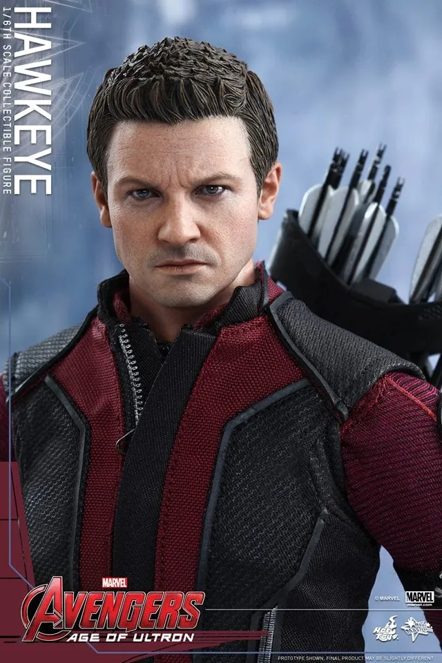 Hot Toys - Avengers: Age of Ultron: Hawkeye