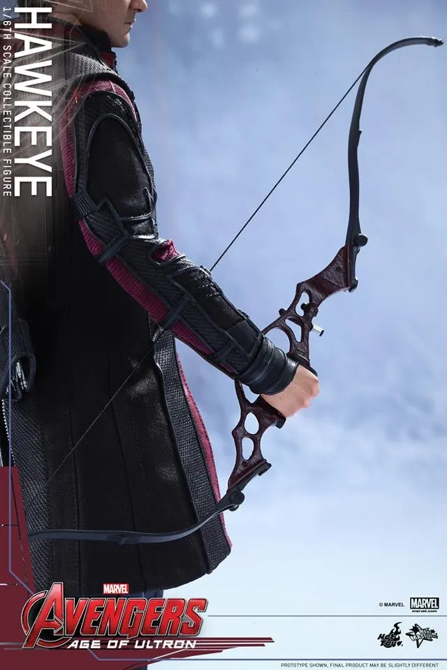 Hot Toys - Avengers: Age of Ultron: Hawkeye