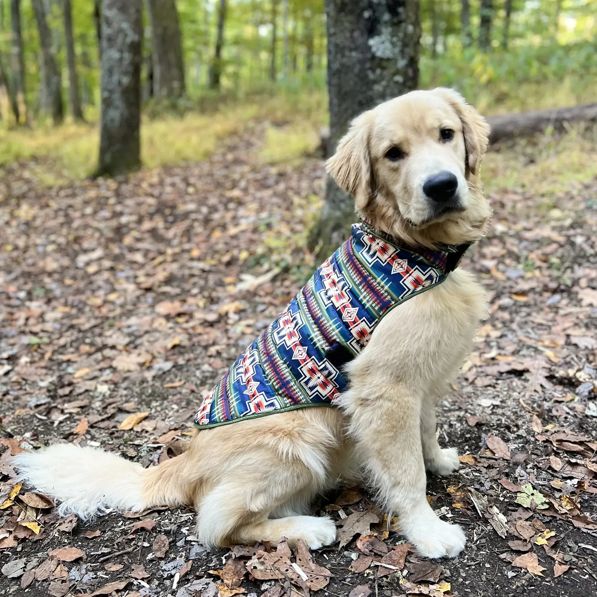 Pendleton Puffer Coat | Century Harding Loden