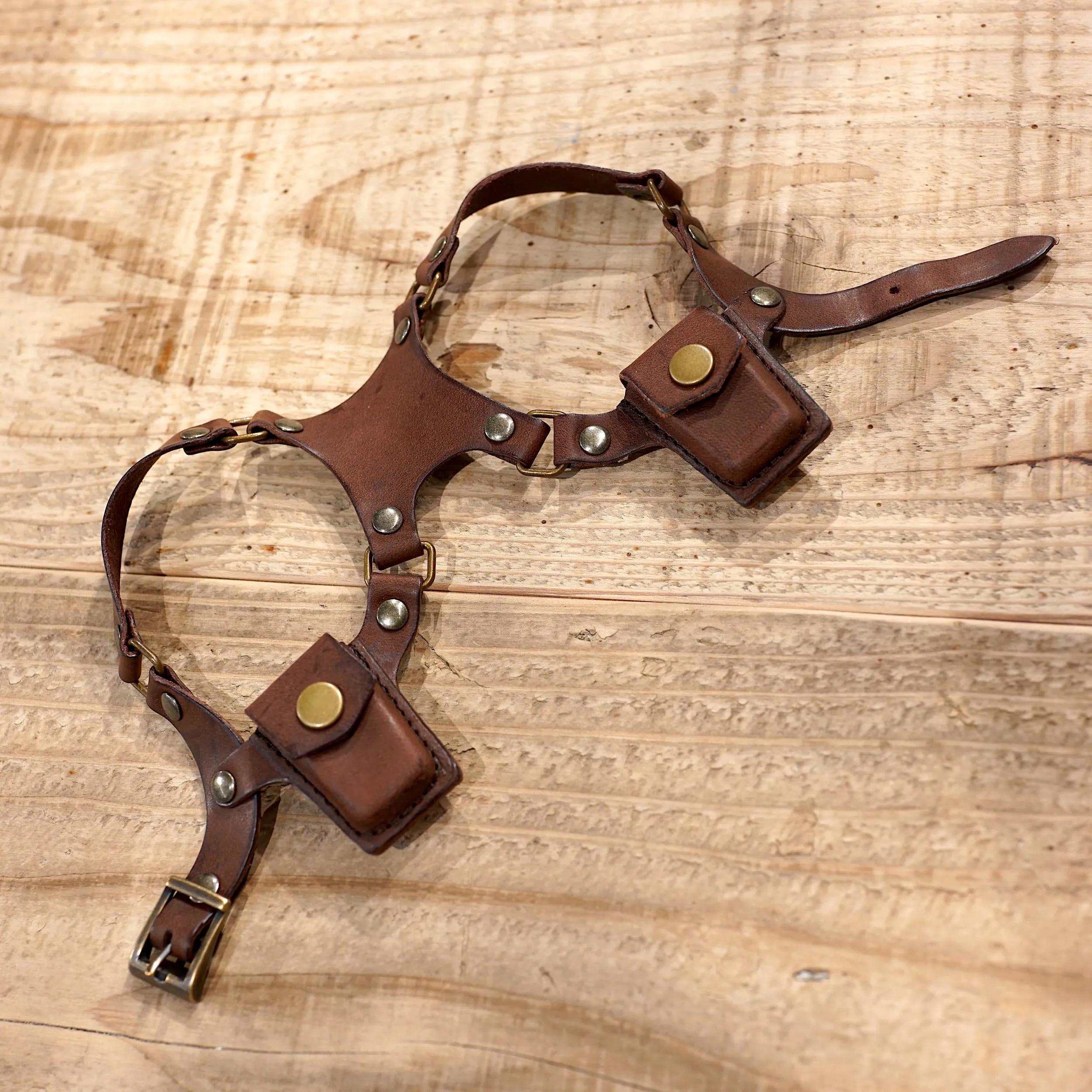 Shoulder Holster