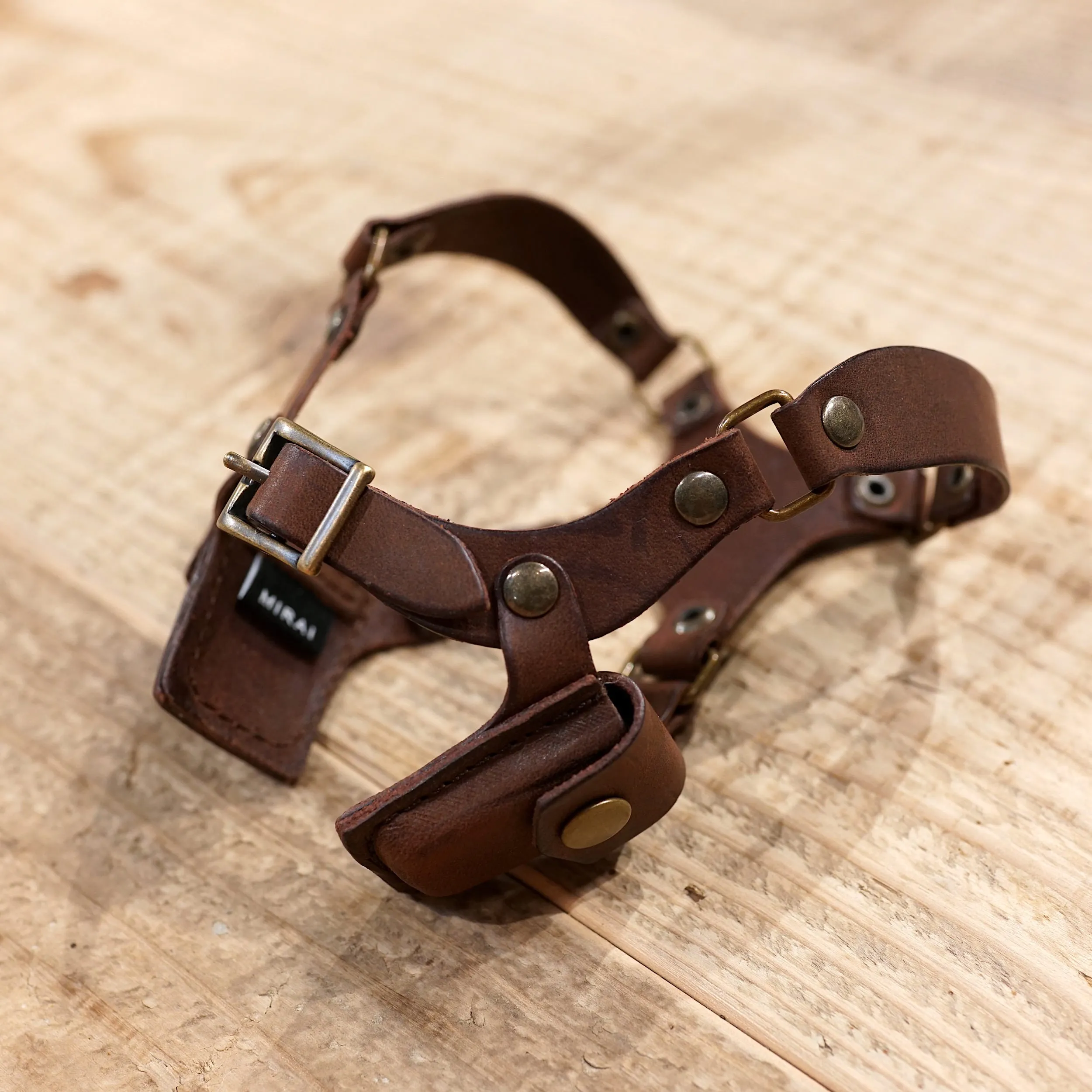 Shoulder Holster